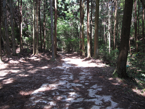 20140524hike (231)